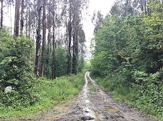 Fechas, información, programa, cartel, imágenes, mapa y ubicación de PR-G 47 Ruta do Río Aceiteiro  en  San Sadurniño