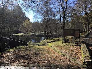 Fechas, información, programa, cartel, imágenes, mapa y ubicación de Praia Fluvial de Maceira  en  Covelo