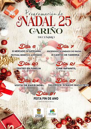 Programa de Navidad