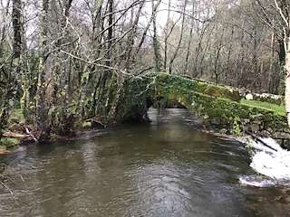 Fechas, información, programa, cartel, imágenes, mapa y ubicación de Puente de Noceifas (2022)  en  A Cañiza