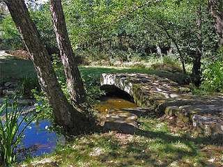 Fechas, información, programa, cartel, imágenes, mapa y ubicación de Puente de Paradela  en  Teo