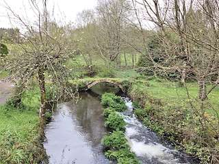 Fechas, información, programa, cartel, imágenes, mapa y ubicación de Puente Romano de Ferreira  en  Palas de Rei