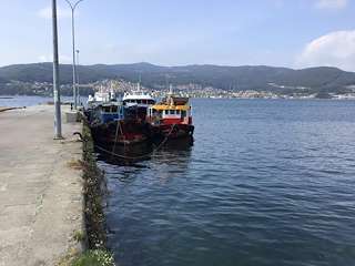 Fechas, información, programa, cartel, imágenes, mapa y ubicación de Puerto de Chapela  en  Redondela