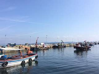 Fechas, información, programa, cartel, imágenes, mapa y ubicación de Puerto de O Grove (2019)