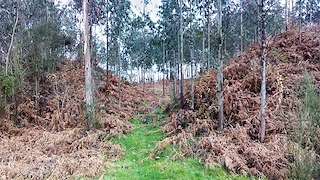 Fechas, información, programa, cartel, imágenes, mapa y ubicación de Roteiro Terras Altas  en  Cabanas