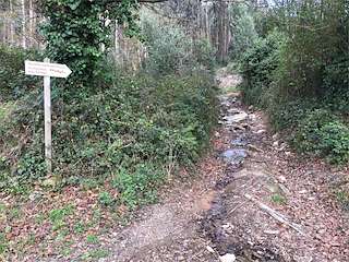 Fechas, información, programa, cartel, imágenes, mapa y ubicación de Ruta As Pegadas nas Pedras  en  Mos