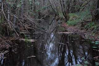 Fechas, información, programa, cartel, imágenes, mapa y ubicación de Ruta Caneiros e Lagoas de Riocaldo  en  Begonte