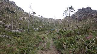 Fechas, información, programa, cartel, imágenes, mapa y ubicación de Ruta de A Moa (Subida al Monte Pindo) (2022)  en  Carnota