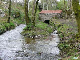 Fechas, información, programa, cartel, imágenes, mapa y ubicación de Ruta de los Molinos de A Freixa (2022)  en  Poio