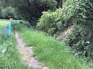Fechas, información, programa, cartel, imágenes, mapa y ubicación de Ruta de los Molinos de Coiro  en  Cangas de Morrazo
