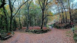 Fechas, información, programa, cartel, imágenes, mapa y ubicación de Ruta de los Molinos de San Miguel  en  Rairiz de Veiga
