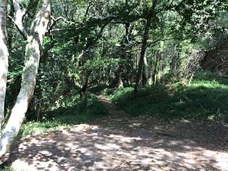 Fechas, información, programa, cartel, imágenes, mapa y ubicación de Ruta de los Molinos del Río Orxas (2022)  en  Cangas de Morrazo