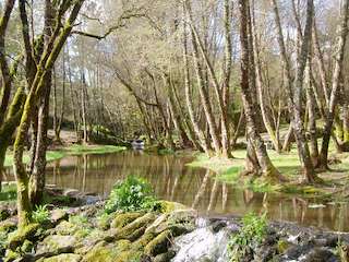 Fechas, información, programa, cartel, imágenes, mapa y ubicación de Ruta de Senderismo A Boutureira (2024)  en  San Cibrao das Viñas