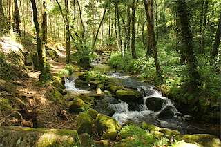 Fechas, información, programa, cartel, imágenes, mapa y ubicación de Ruta de Senderismo Rio de la Fraga (2021)  en  Moaña