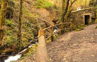 Fechas, información, programa, cartel, imágenes, mapa y ubicación de Ruta del Río Eifonso - PR-G5 (2023)  en  Vigo