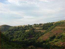 Fechas, información, programa, cartel, imágenes, mapa y ubicación de Ruta del Río Mosa  en  Navia de Suarna