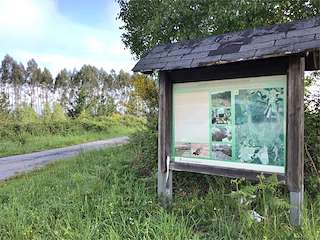 Fechas, información, programa, cartel, imágenes, mapa y ubicación de Ruta do Castañoso - Silvacha (2023)  en  A Fonsagrada