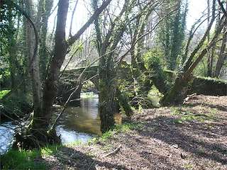 Fechas, información, programa, cartel, imágenes, mapa y ubicación de Ruta do Pereiro Sales  en  Vedra