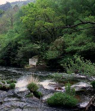 Fechas, información, programa, cartel, imágenes, mapa y ubicación de Ruta Morgallón - Río Sor (PR-G 8) (2022)  en  O Vicedo