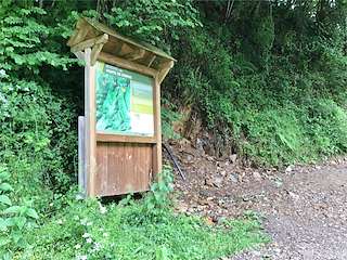 Fechas, información, programa, cartel, imágenes, mapa y ubicación de Ruta Ponte de Doiras  en  Cervantes