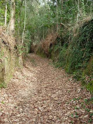 Fechas, información, programa, cartel, imágenes, mapa y ubicación de Rutas de Senderismo  en  Redondela