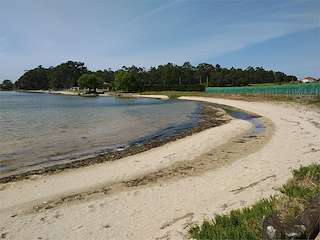 Fechas, información, programa, cartel, imágenes, mapa y ubicación de Saíñas  en  Cambados