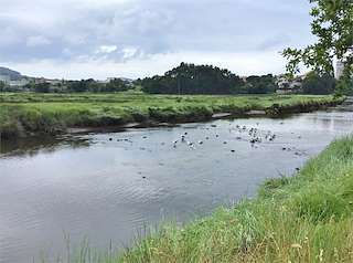 Fechas, información, programa, cartel, imágenes, mapa y ubicación de Salinas de Xunqueira do Lagares (2023)  en  Vigo