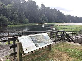 Fechas, información, programa, cartel, imágenes, mapa y ubicación de Senda dos Sentidos (2022)  en  Miño