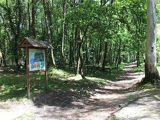 Fechas, información, programa, cartel, imágenes, mapa y ubicación de Sendeiro Azul do Río Verdugo (2022)  en  Ponte Caldelas