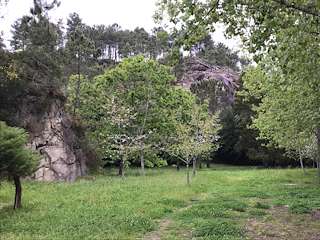 Fechas, información, programa, cartel, imágenes, mapa y ubicación de Sendeiro de Pedra Miranda  en  Vilaboa