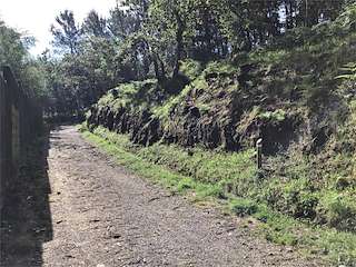 Fechas, información, programa, cartel, imágenes, mapa y ubicación de Sendeiro Local de Cabral (2023)  en  Vigo