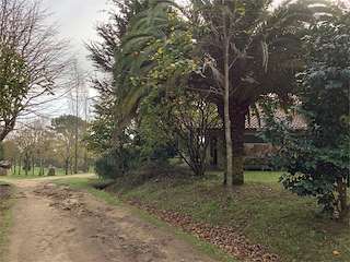 Fechas, información, programa, cartel, imágenes, mapa y ubicación de Sendero Circular por San Paio de Carreira SR-4  en  Ribeira