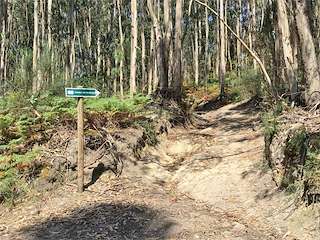 Fechas, información, programa, cartel, imágenes, mapa y ubicación de Sendero de Varalonga (2022)  en  Cangas