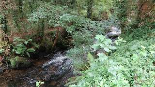 Fechas, información, programa, cartel, imágenes, mapa y ubicación de SM.14 - Ruta do Mendo   en  Coirós