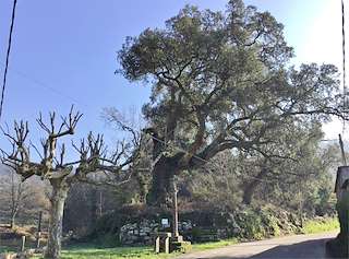 Fechas, información, programa, cartel, imágenes, mapa y ubicación de Sobreira do Cristo de Arriba  en  Redondela