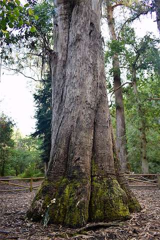 Fechas, información, programa, cartel, imágenes, mapa y ubicación de Souto da Retorta (2021)  en  Viveiro