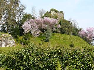 Fechas, información, programa, cartel, imágenes, mapa y ubicación de Torre de Cira  en  Silleda