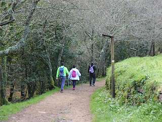 Fechas, información, programa, cartel, imágenes, mapa y ubicación de Turismo Rooteiro  en  Sanxenxo