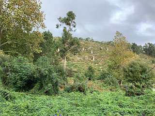 Fechas, información, programa, cartel, imágenes, mapa y ubicación de Vía Crucis de Louro  en  Muros