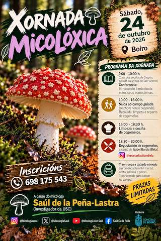 Xornada Micolóxica