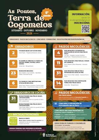VI Xornadas Micolóxicas
