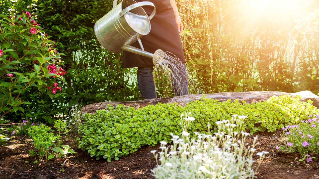 10 consejos para el mantenimiento y cuidado de tu jardín - Imagen 1