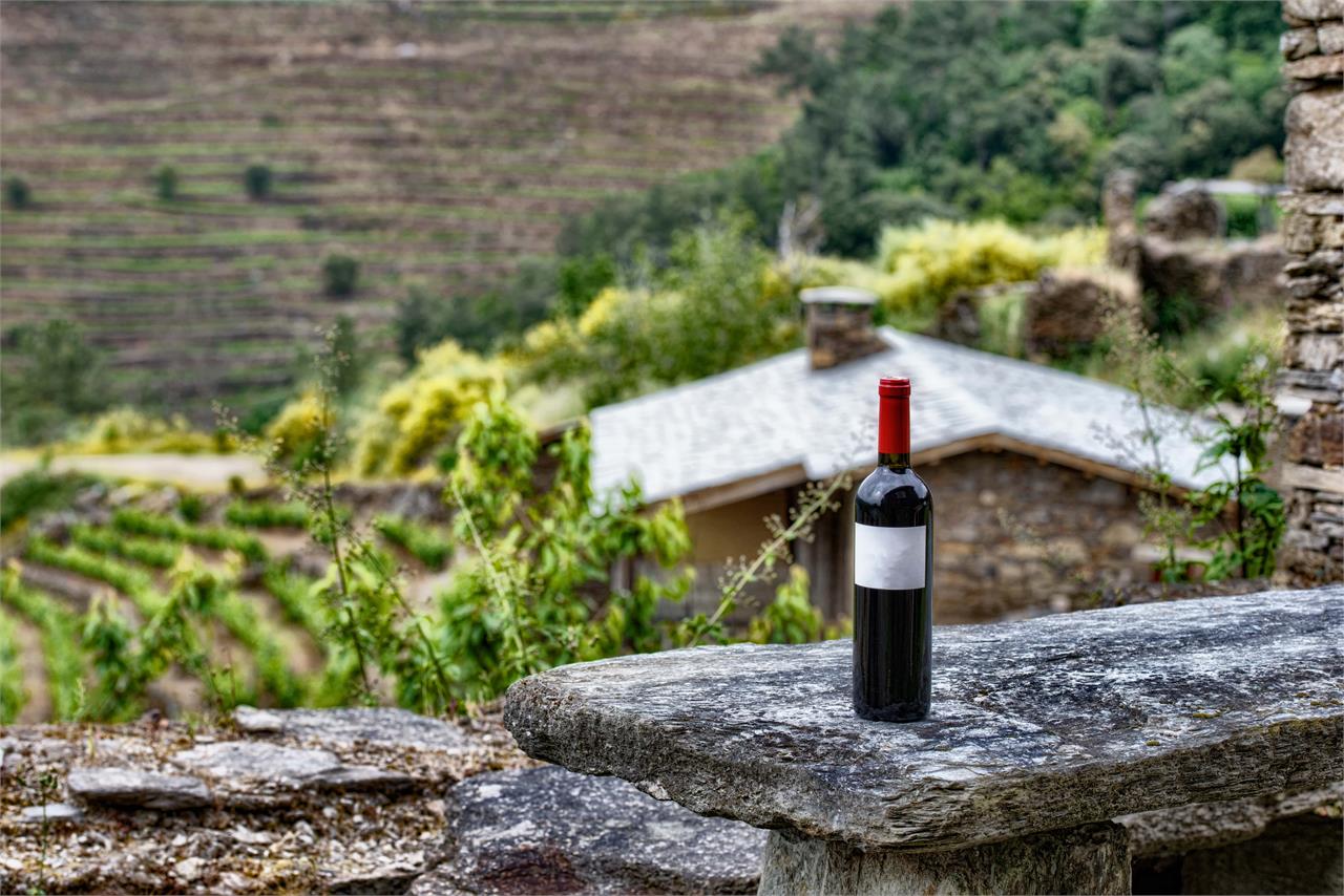 Vinos gallegos ¿Cuáles son las denominaciones de origen de Galicia? 