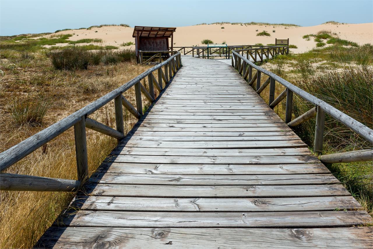 10 cosas imprescindibles que hacer en las Rías Baixas - Imagen 10