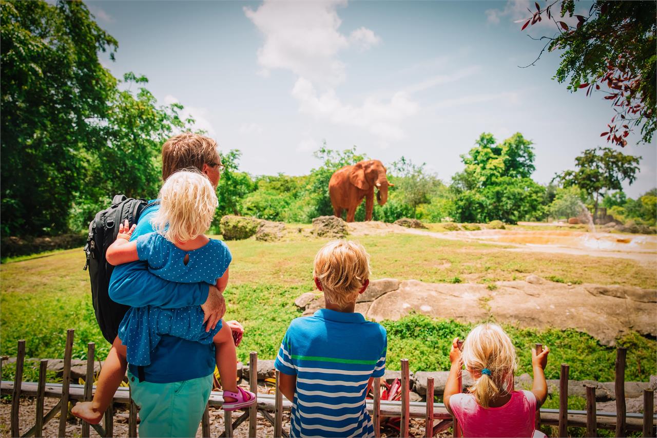 Los mejores planes y actividades para disfrutar en familia - Imagen 4