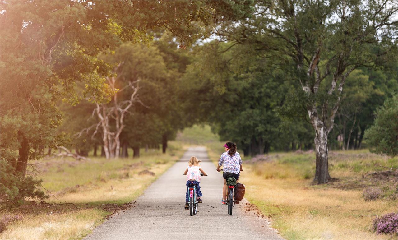 Los mejores planes y actividades para disfrutar en familia - Imagen 6