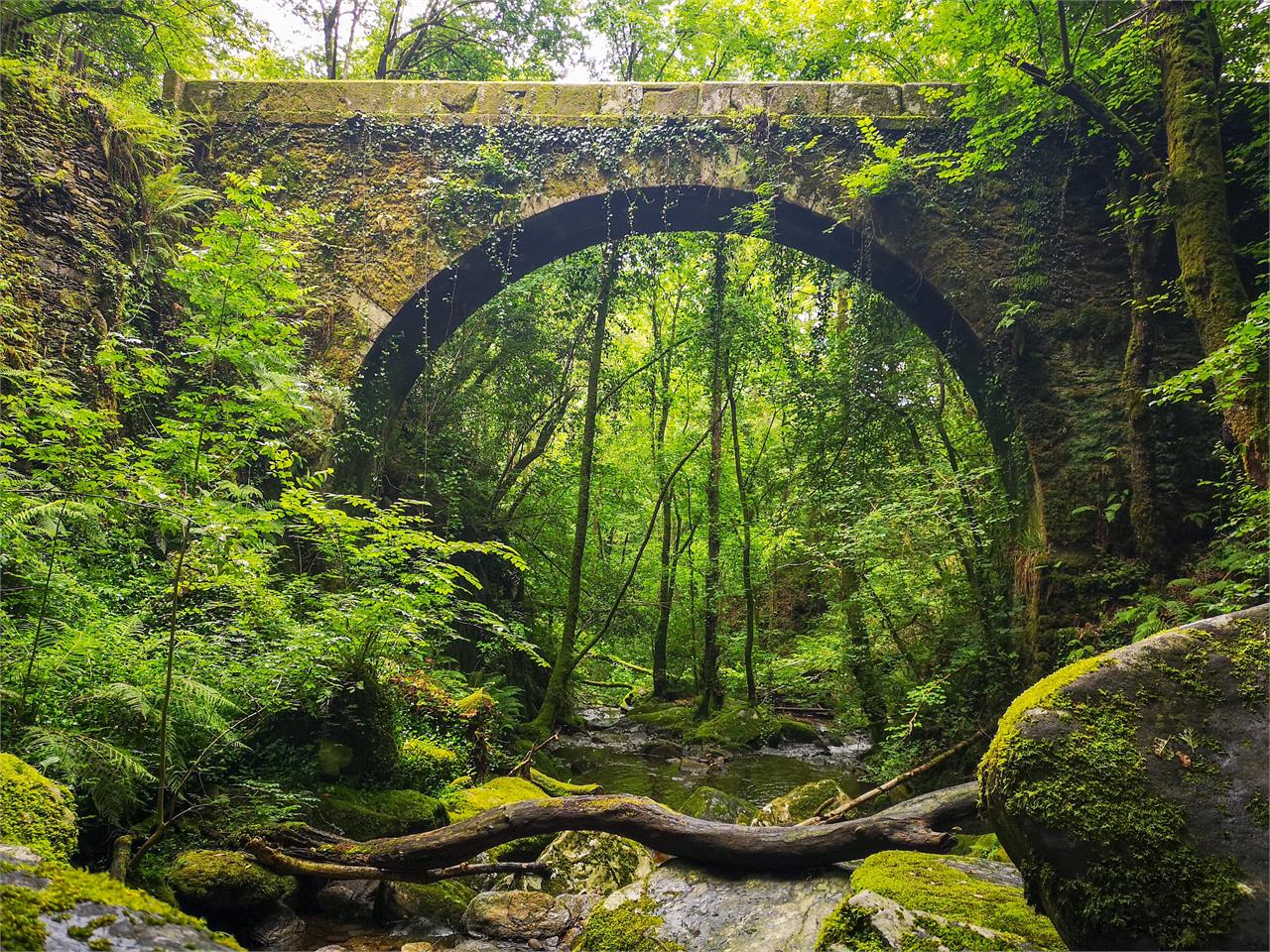 Top 10 lugares que visitar de Galicia - Imagen 8