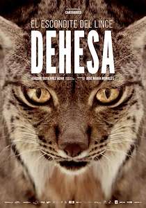 Dehesa, el bosque del lince ibérico