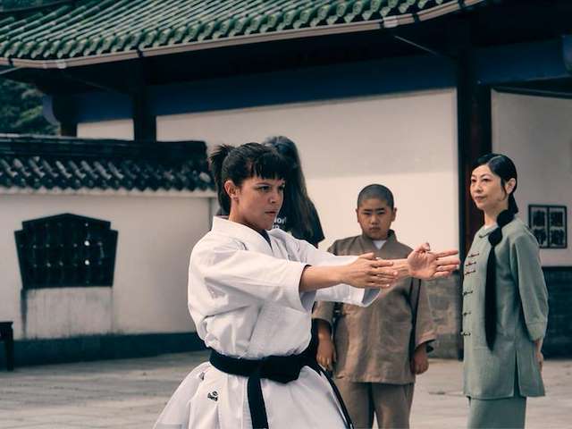 Cartel Karateka