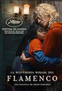 La misteriosa mirada del flamenco